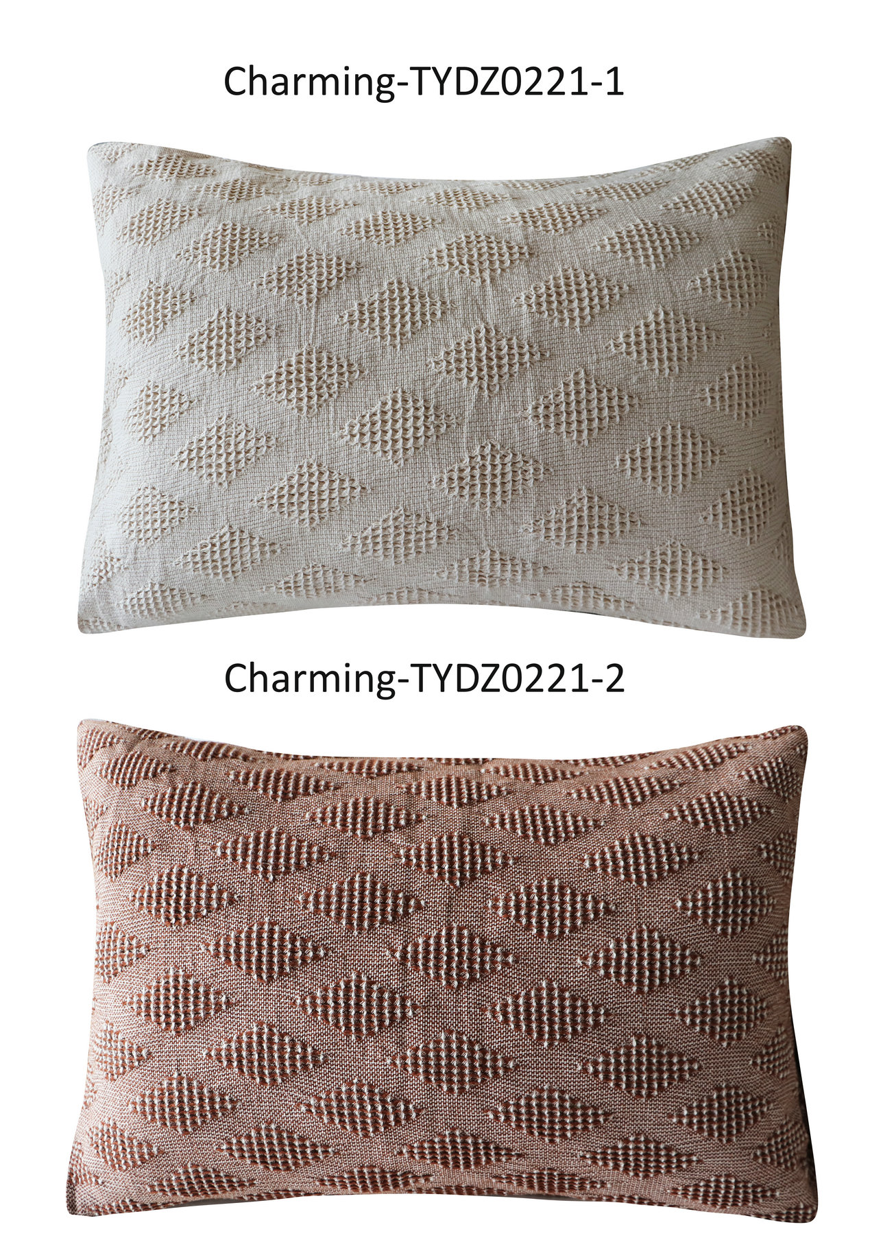 TYDZ0221-1-2