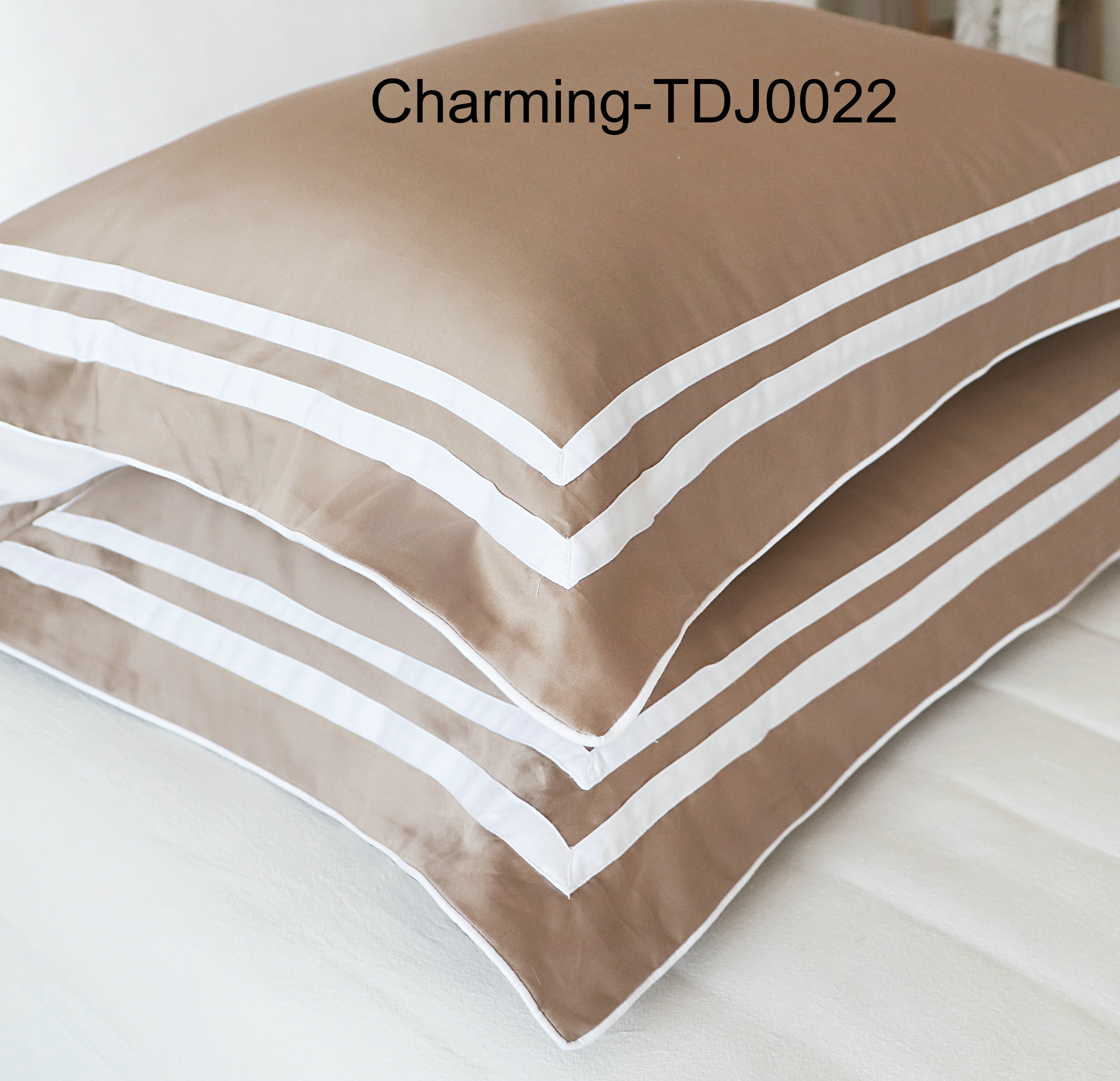 TDJ0022