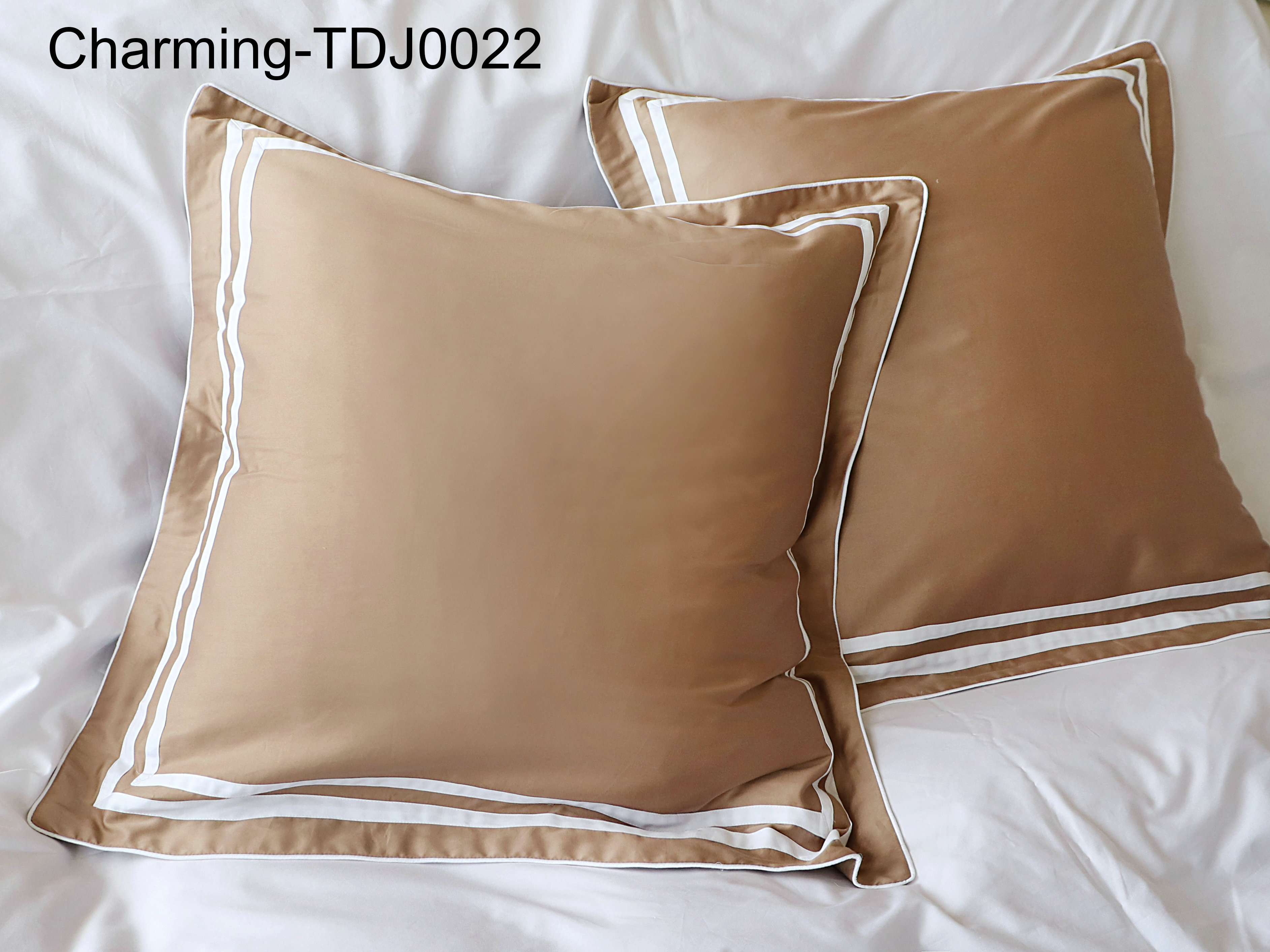 TDJ0022