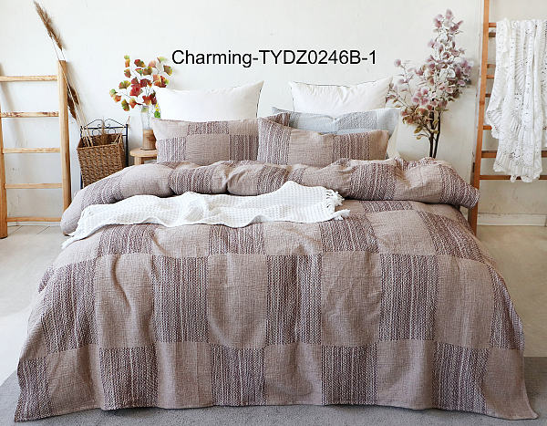 TYDZ0246B-1