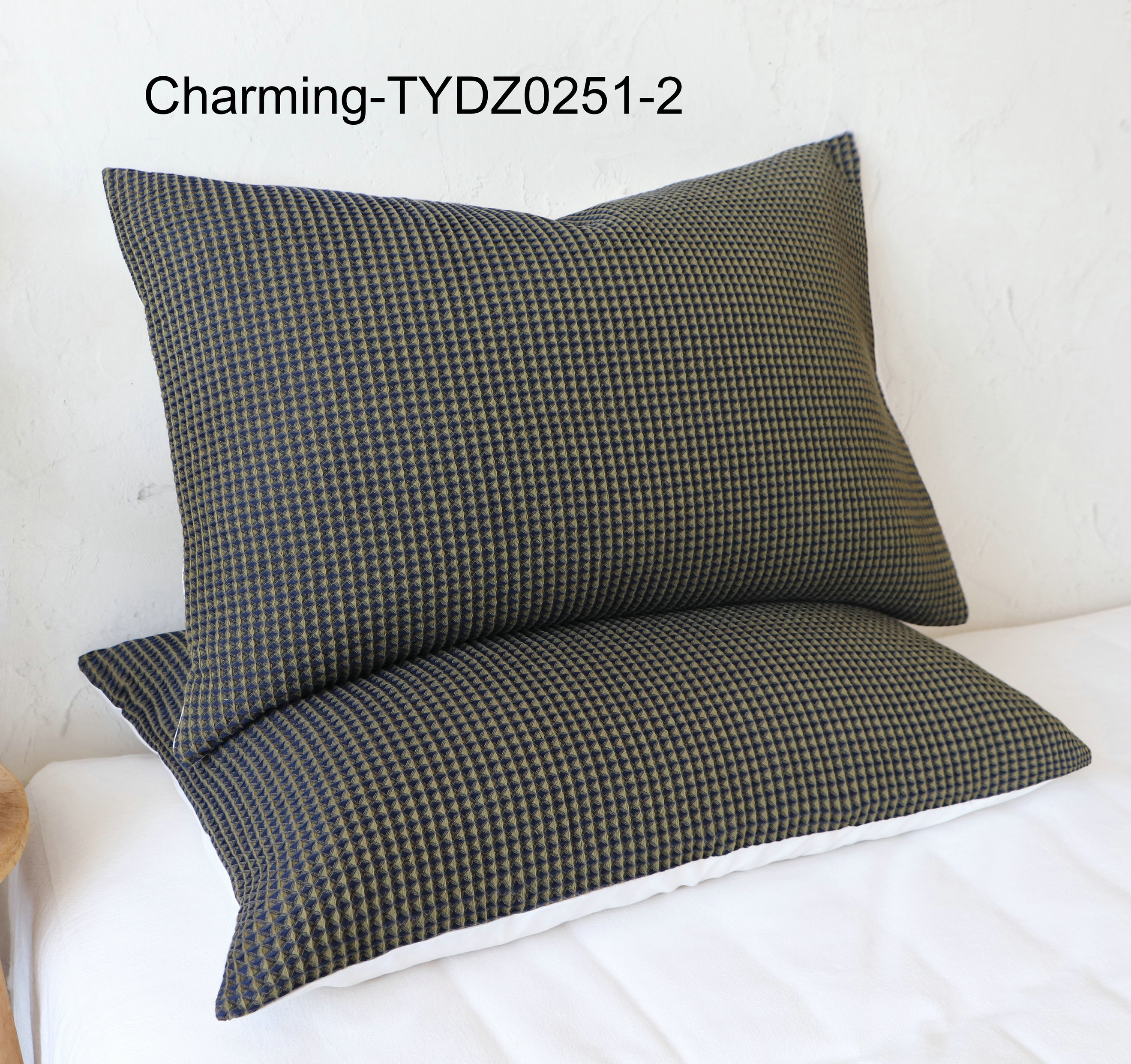 TYDZ0251-2