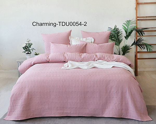TDU0054-2