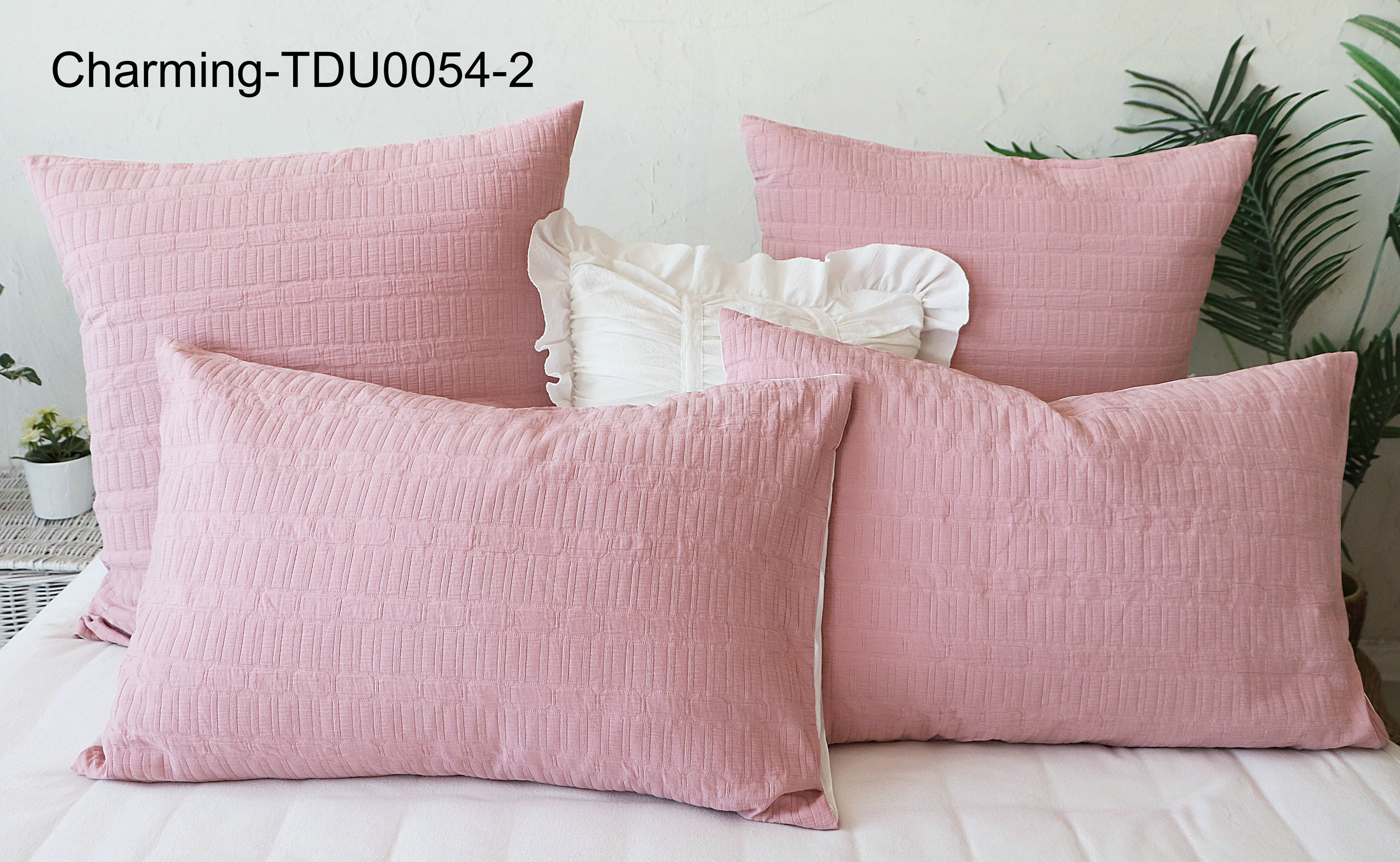TDU0054-2