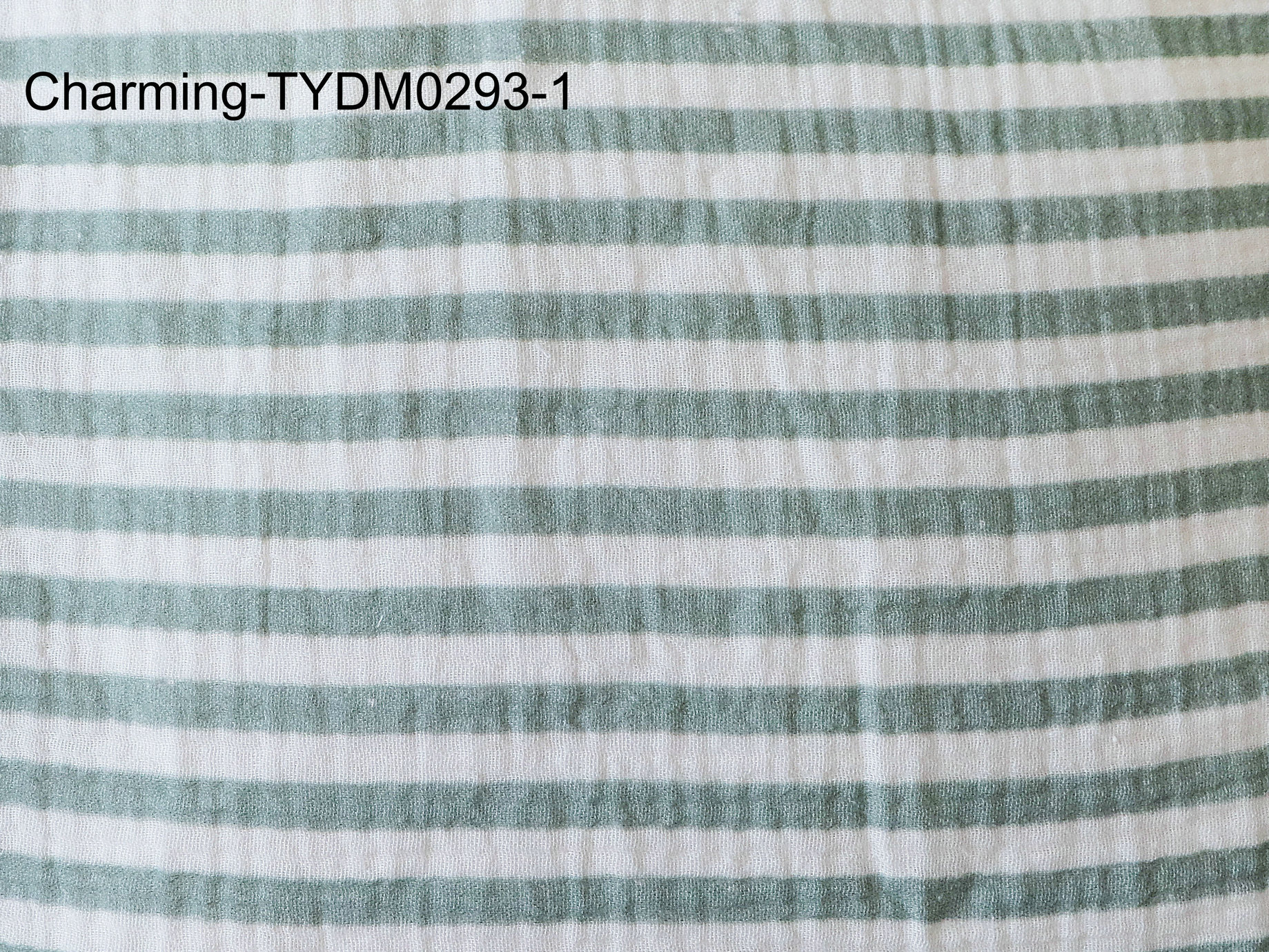 TYDM0293-1