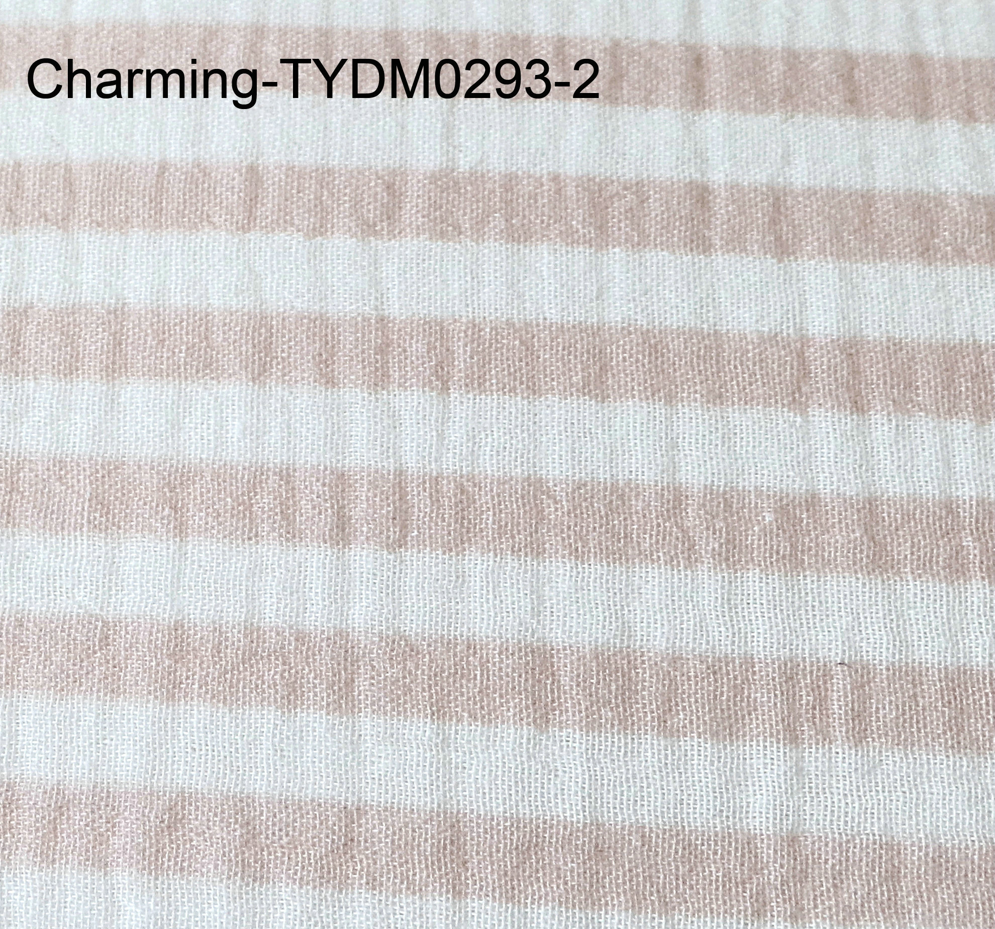 TYDM0293-2