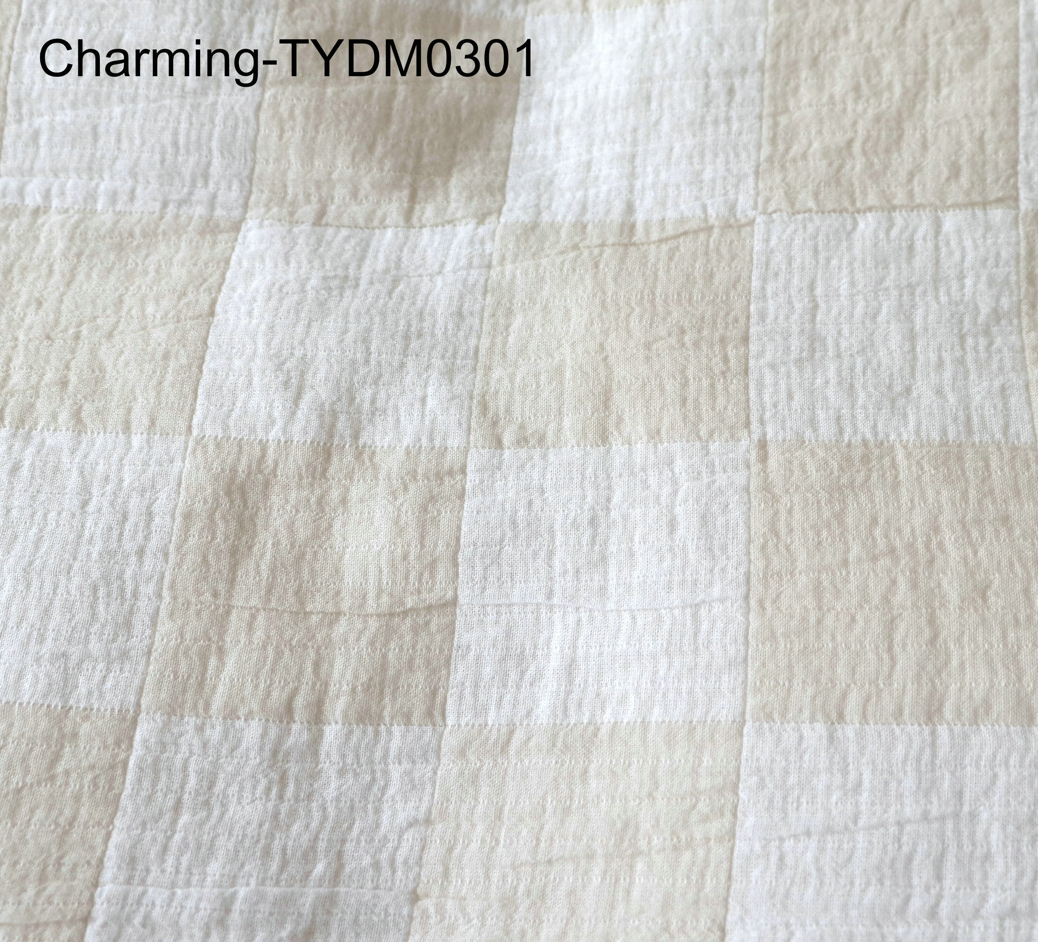 TYDM0301