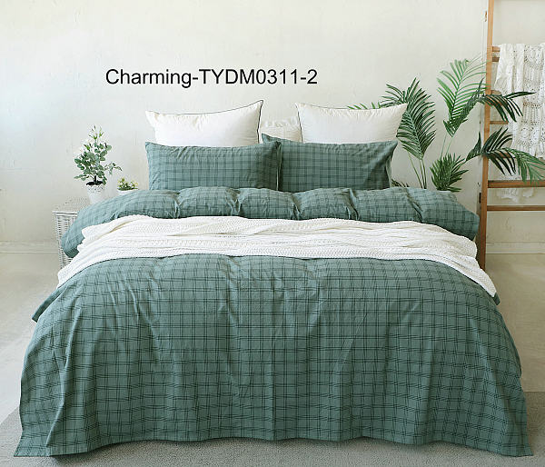 TYDM0311-2