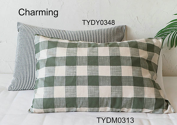 TYDM0313