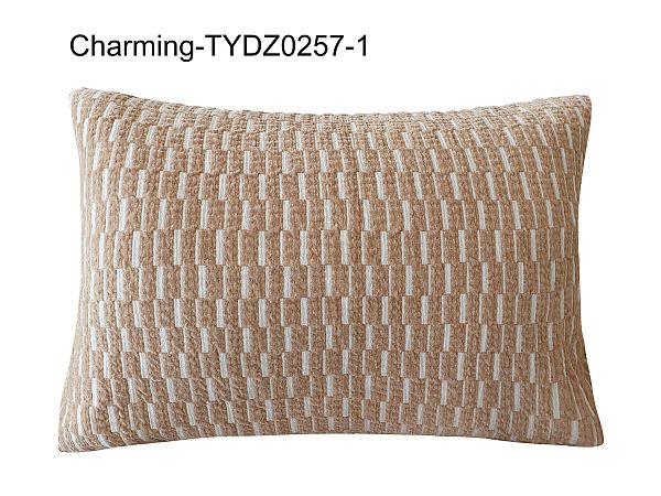 TYDZ0257-1