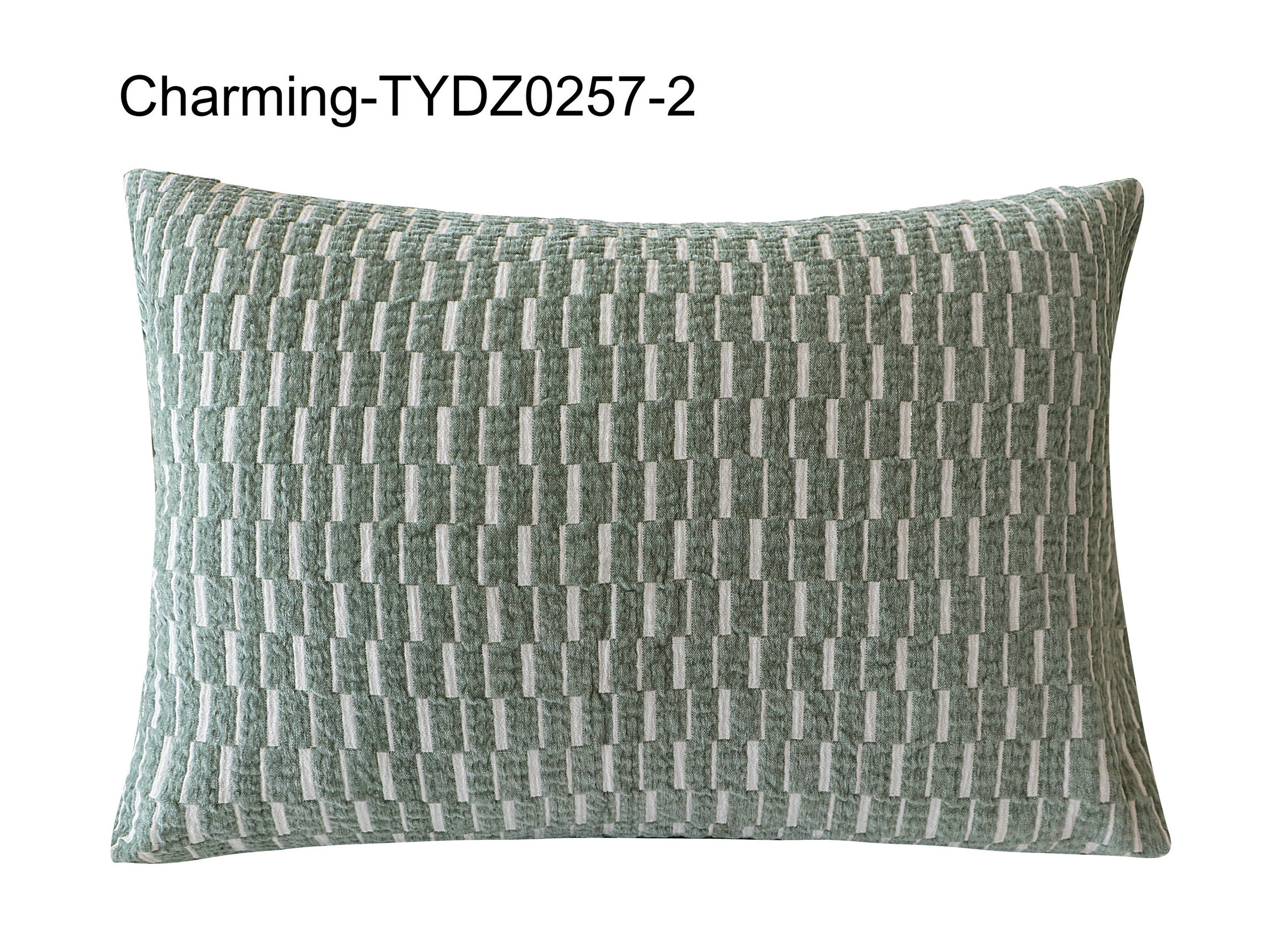 TYDZ0257-2