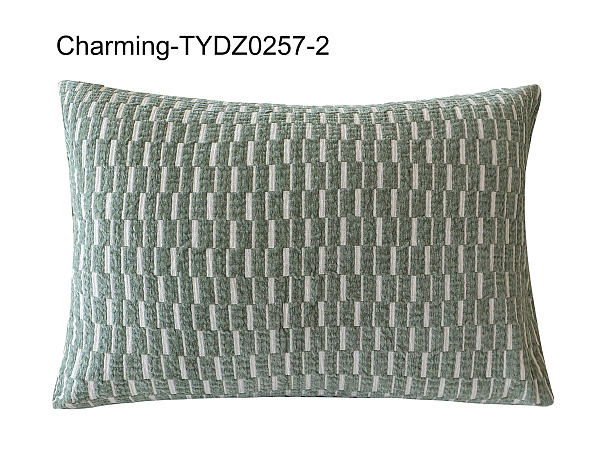 TYDZ0257-2