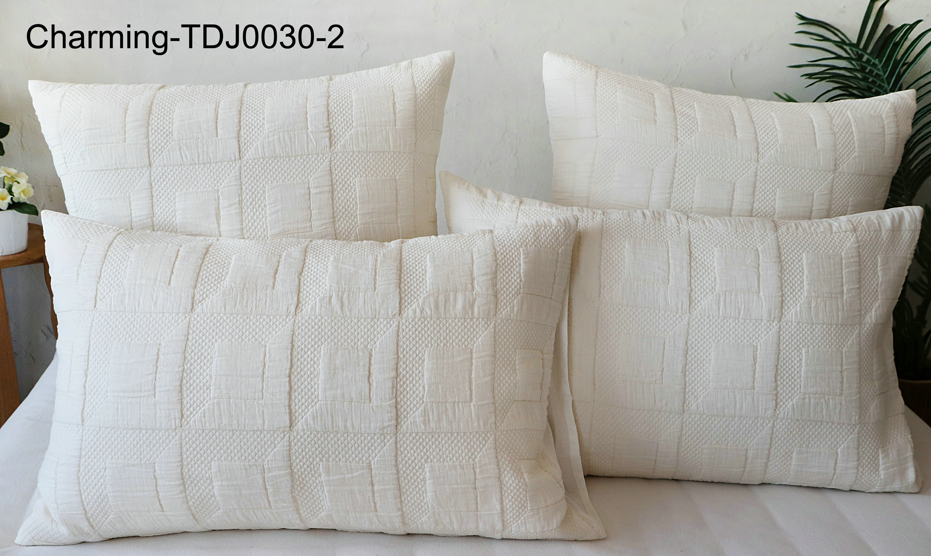 TDJ0030-2