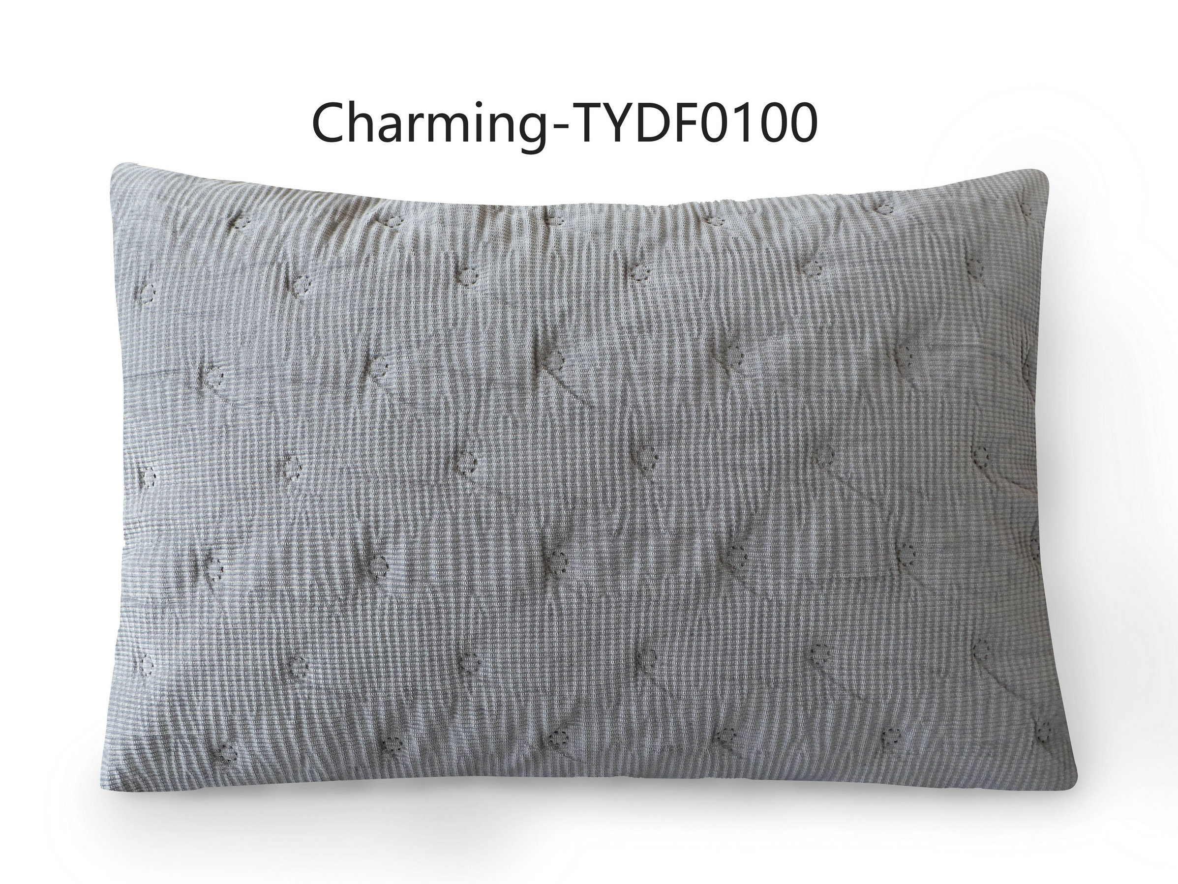 TYDF0100