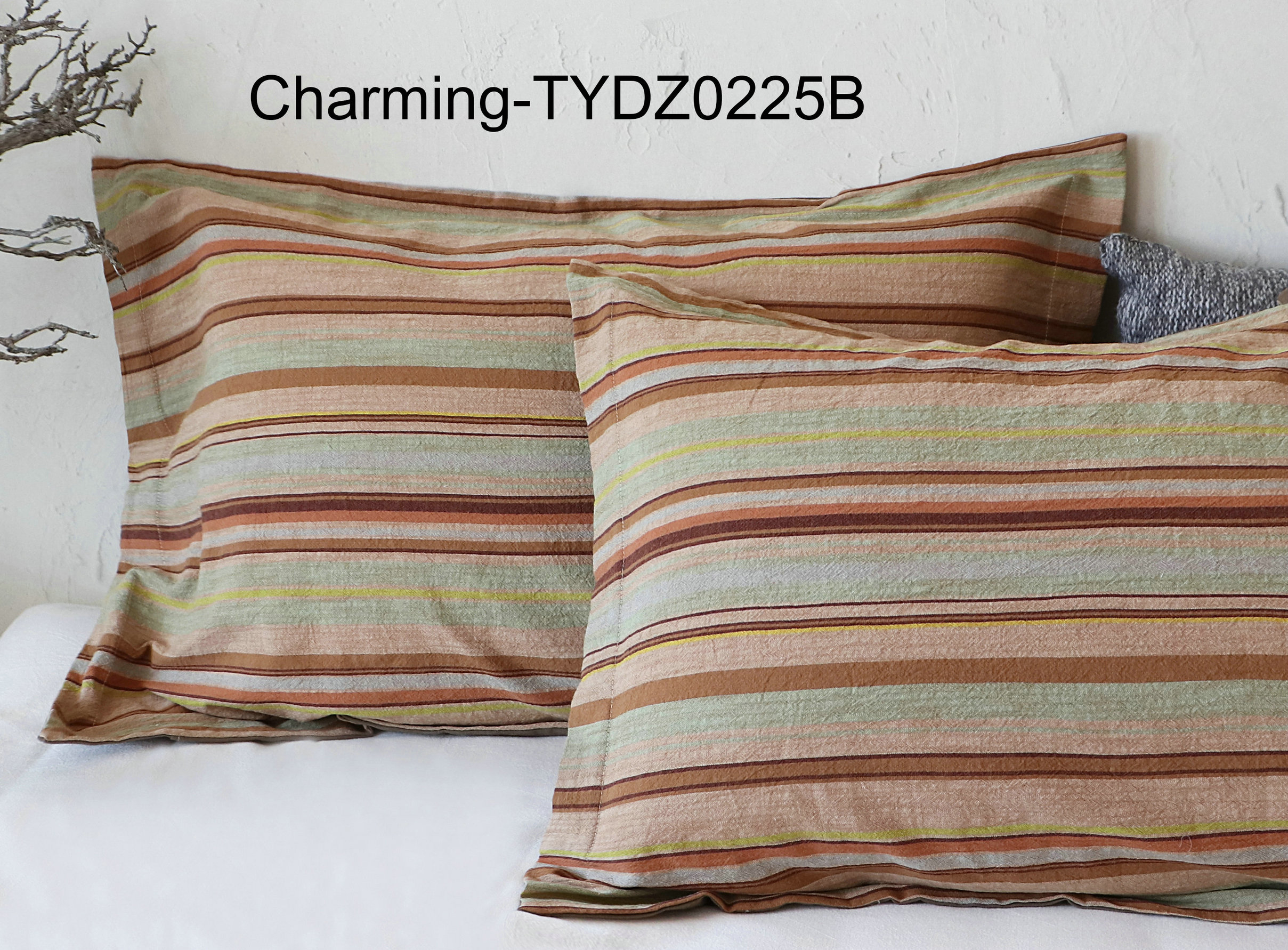 TYDZ0225B
