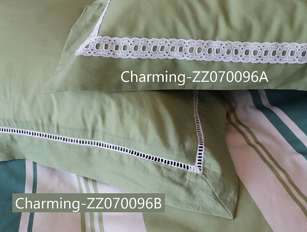 ZZ070096A,ZZ070096B