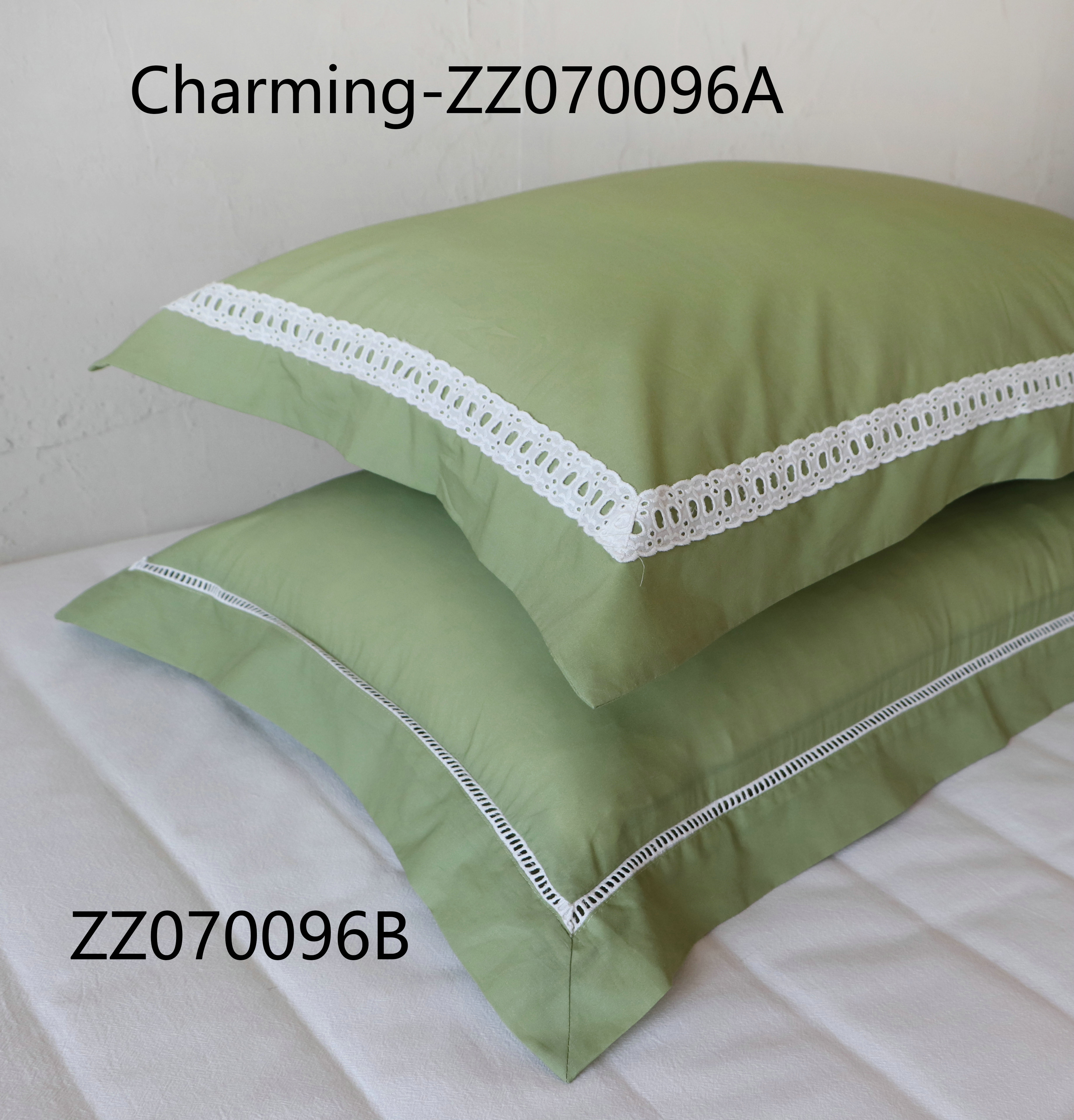 ZZ070096A,ZZ070096B
