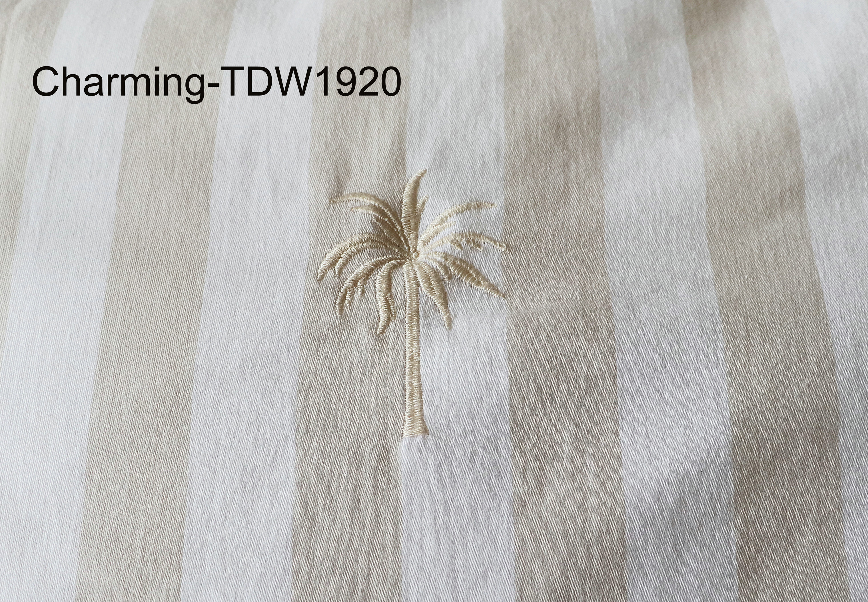 TDW1920