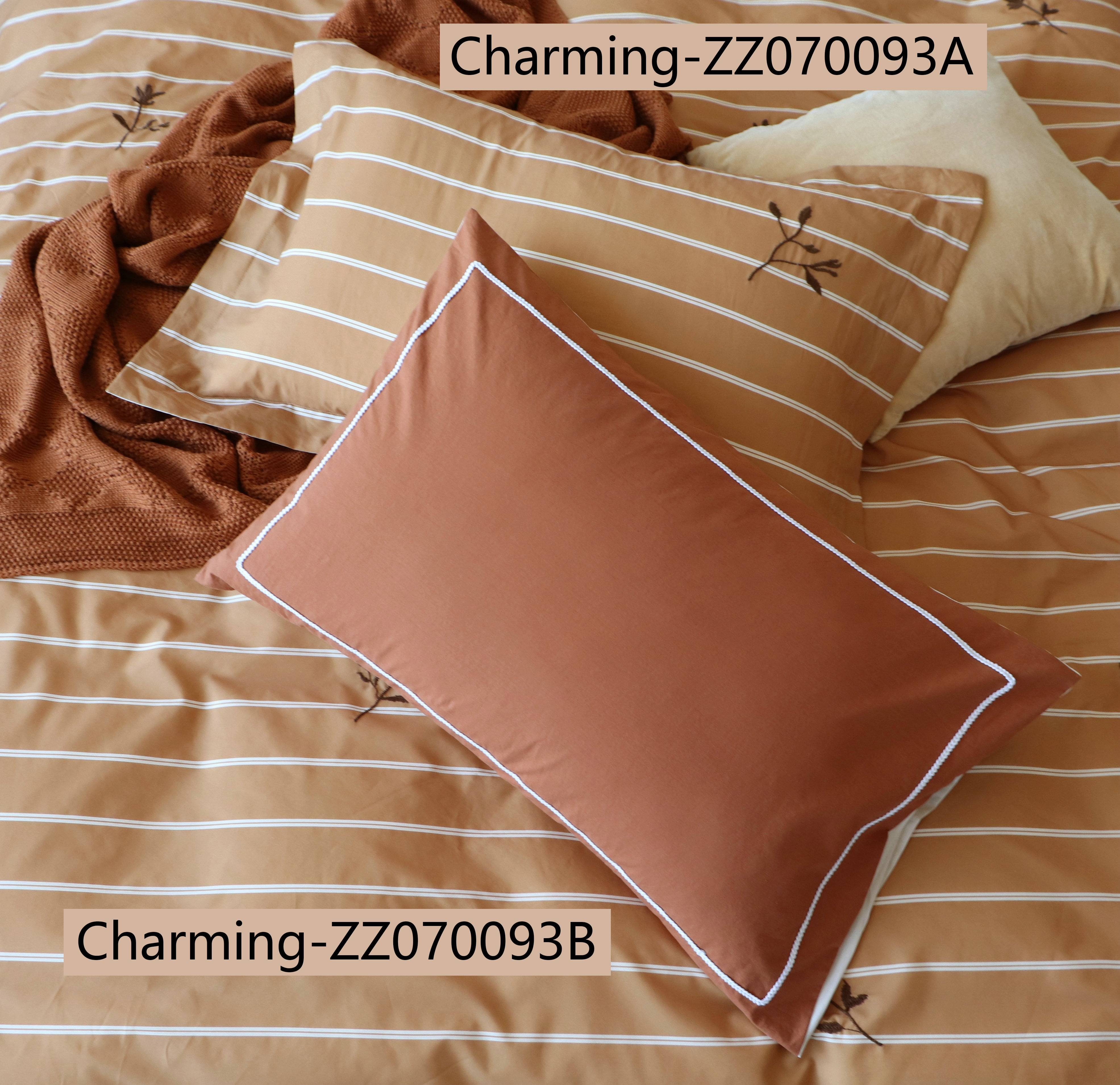 ZZ070093A,ZZ070093B