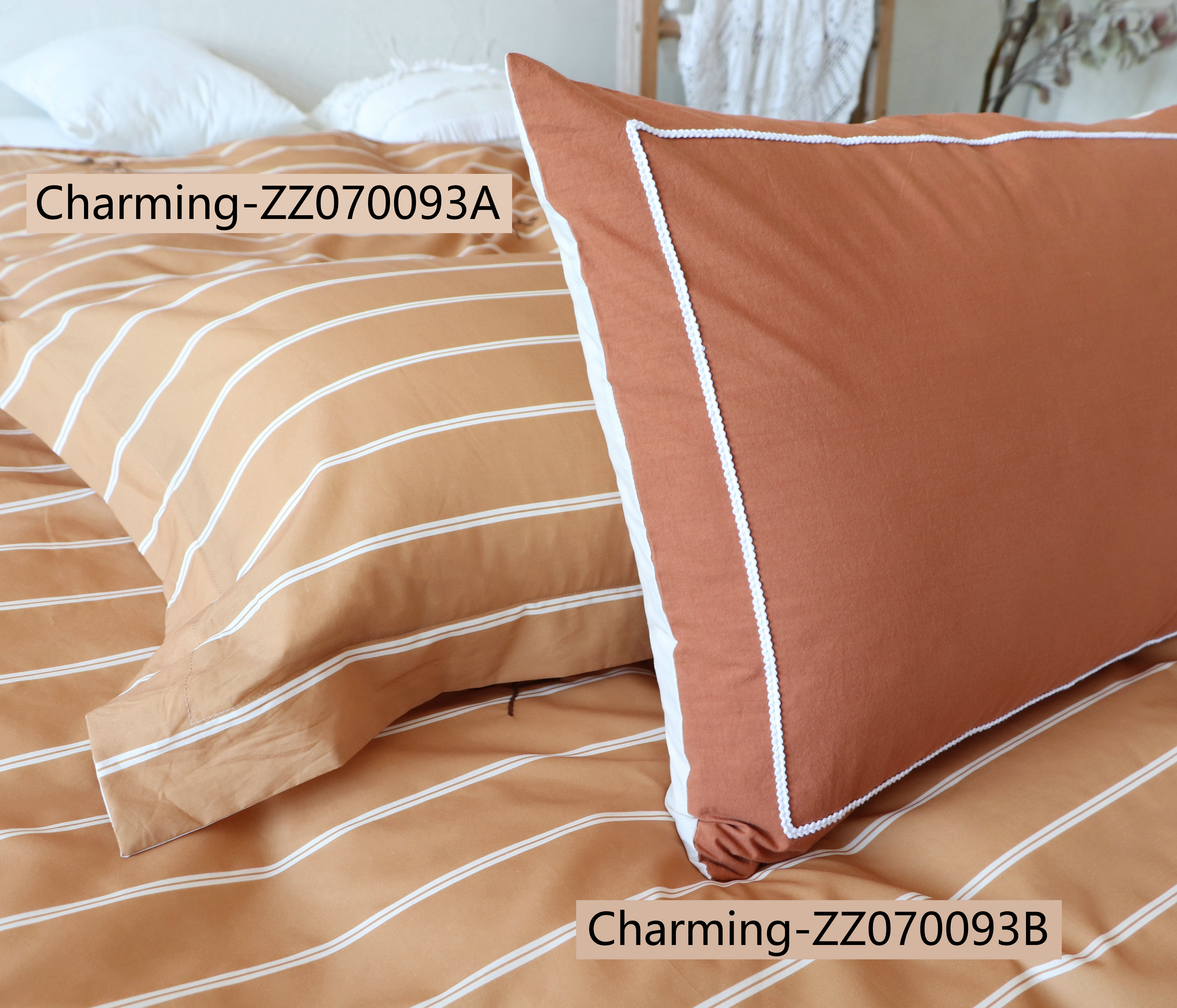 ZZ070093A,ZZ070093B