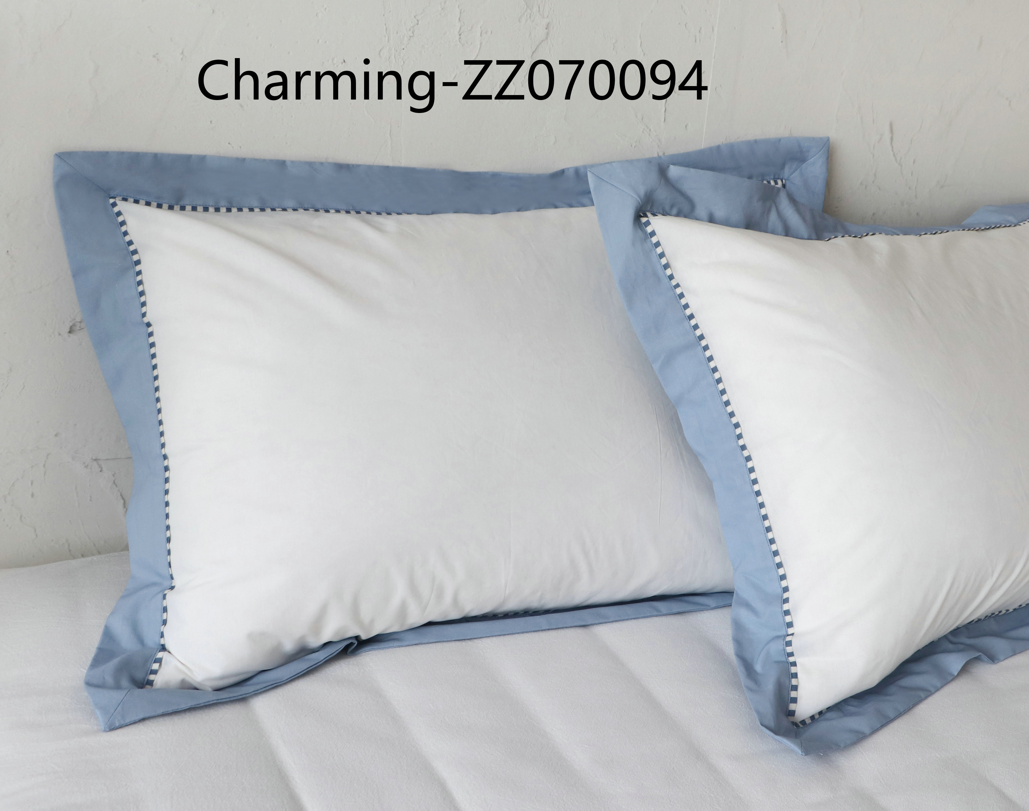 ZZ070094