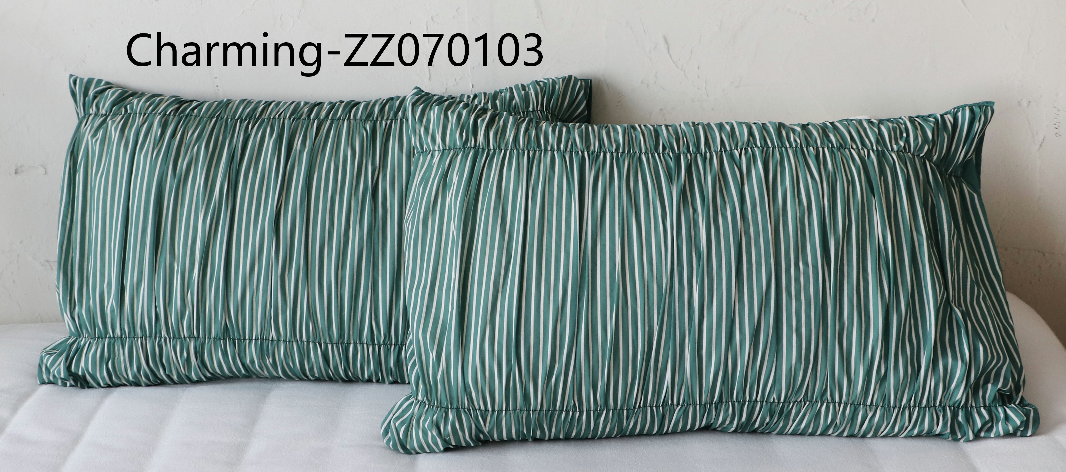 ZZ070103