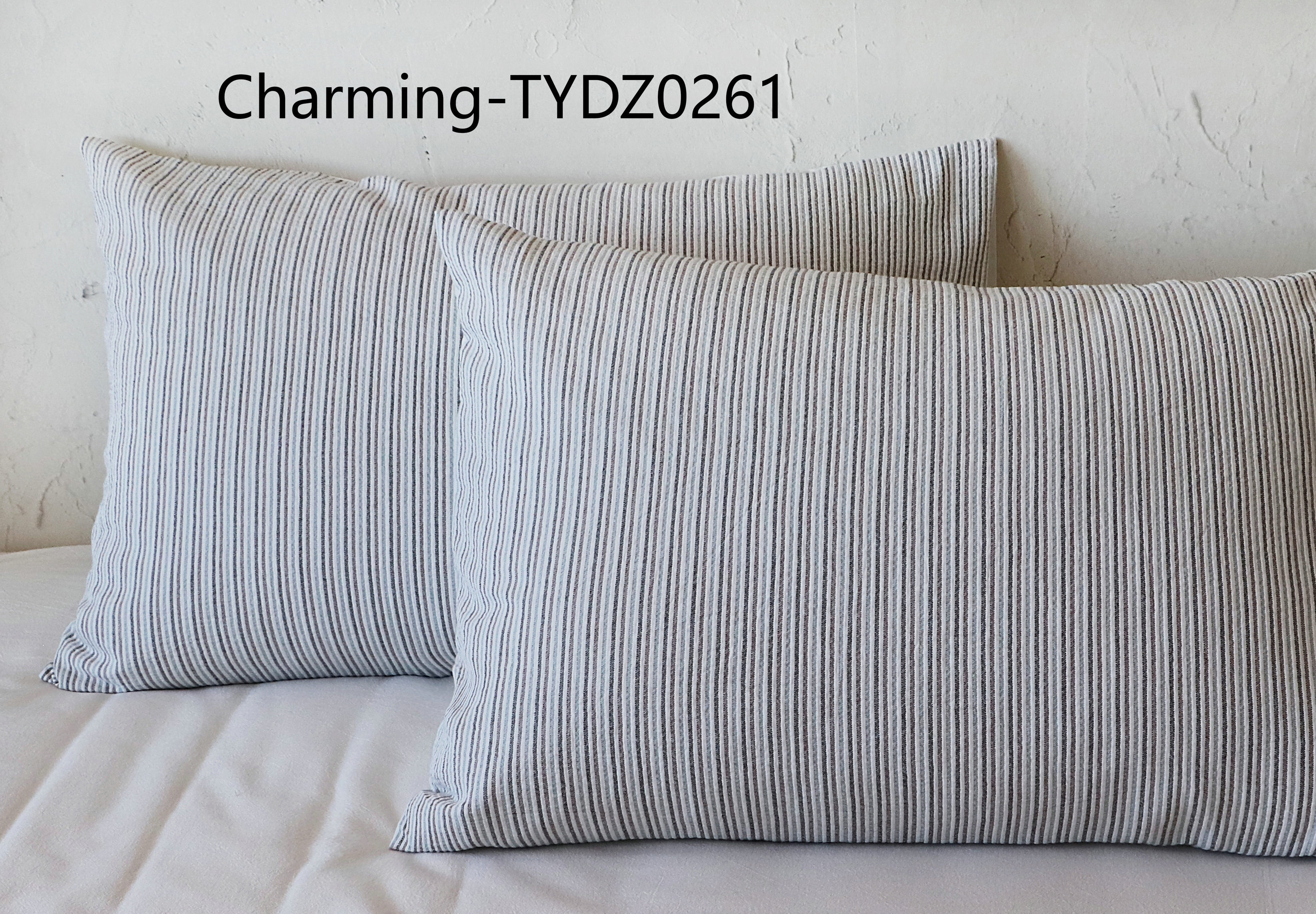 TYDZ0261