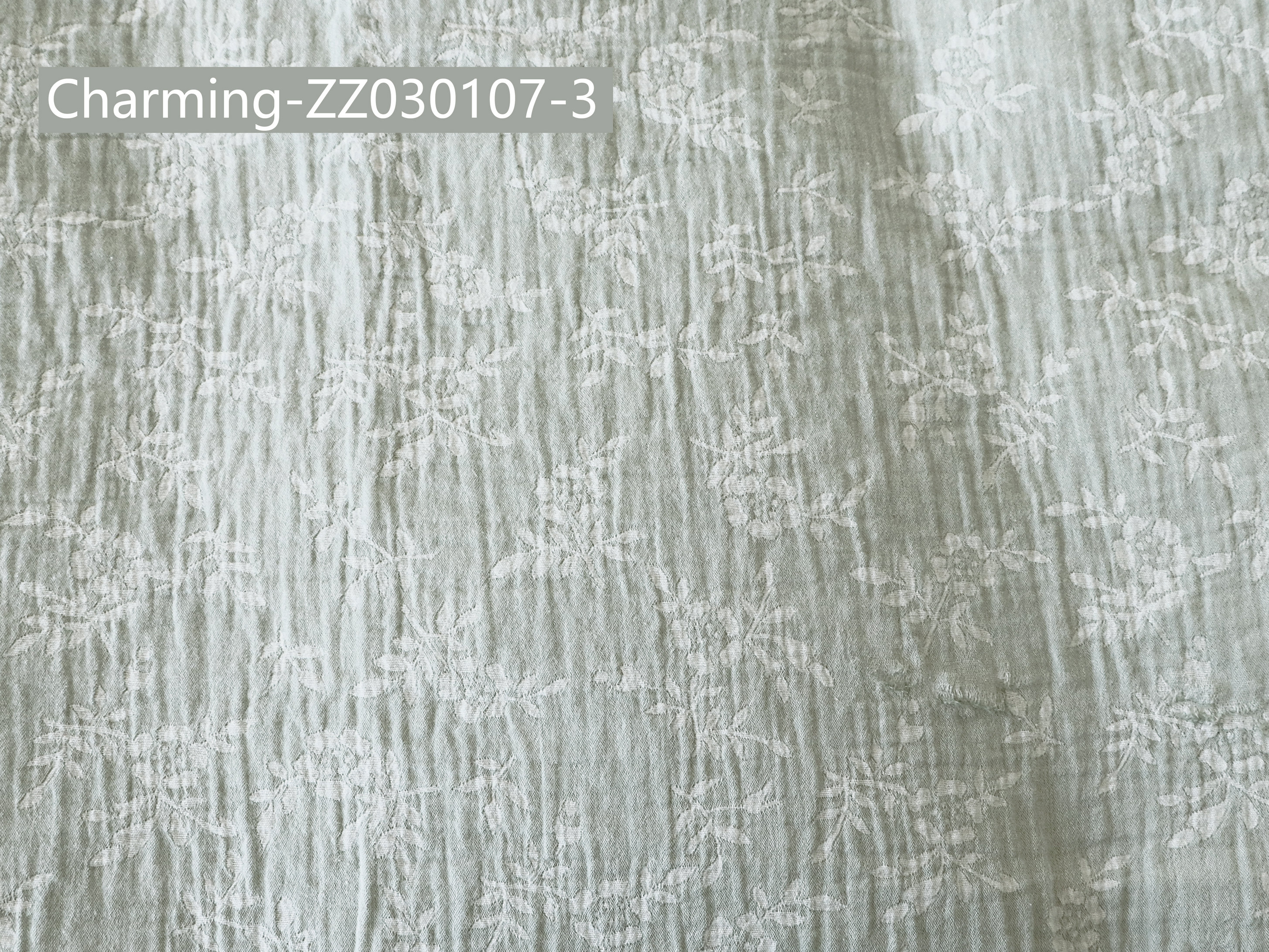 ZZ030107-3
