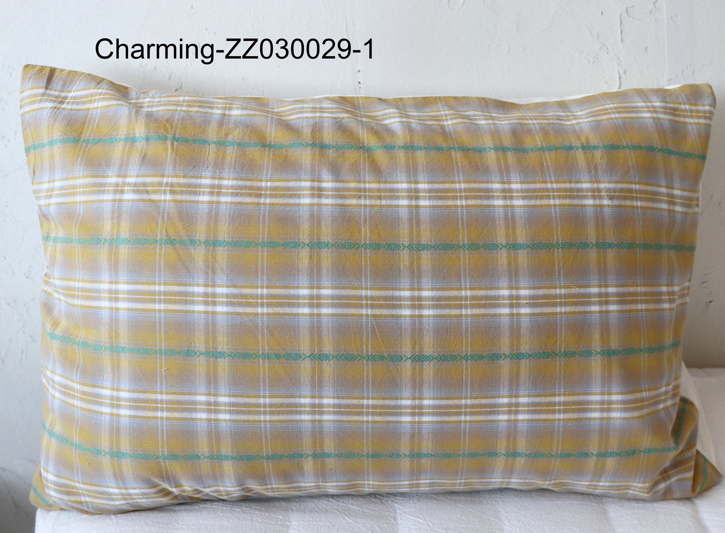 ZZ030029-1