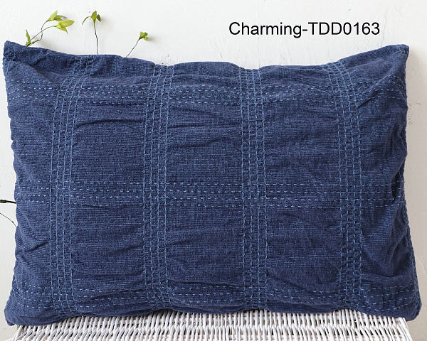 TDD0163