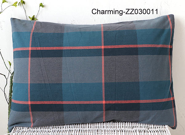 ZZ030011