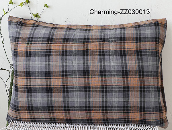 ZZ030013