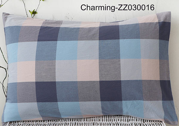 ZZ030016