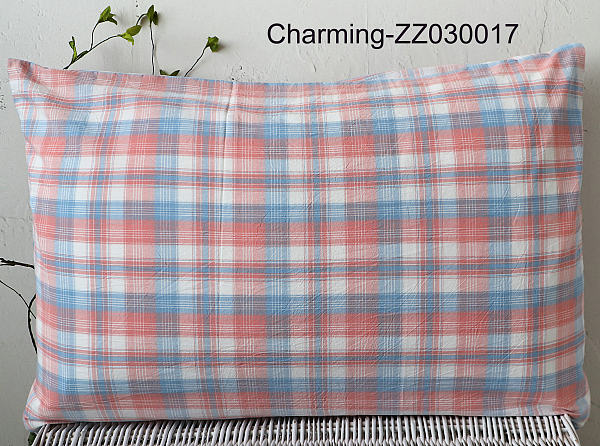 ZZ030017