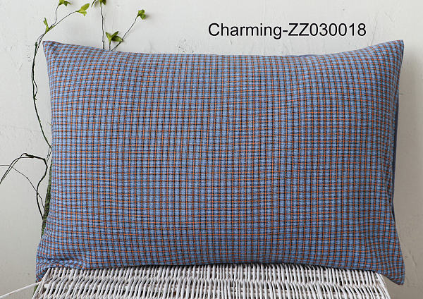 ZZ030018