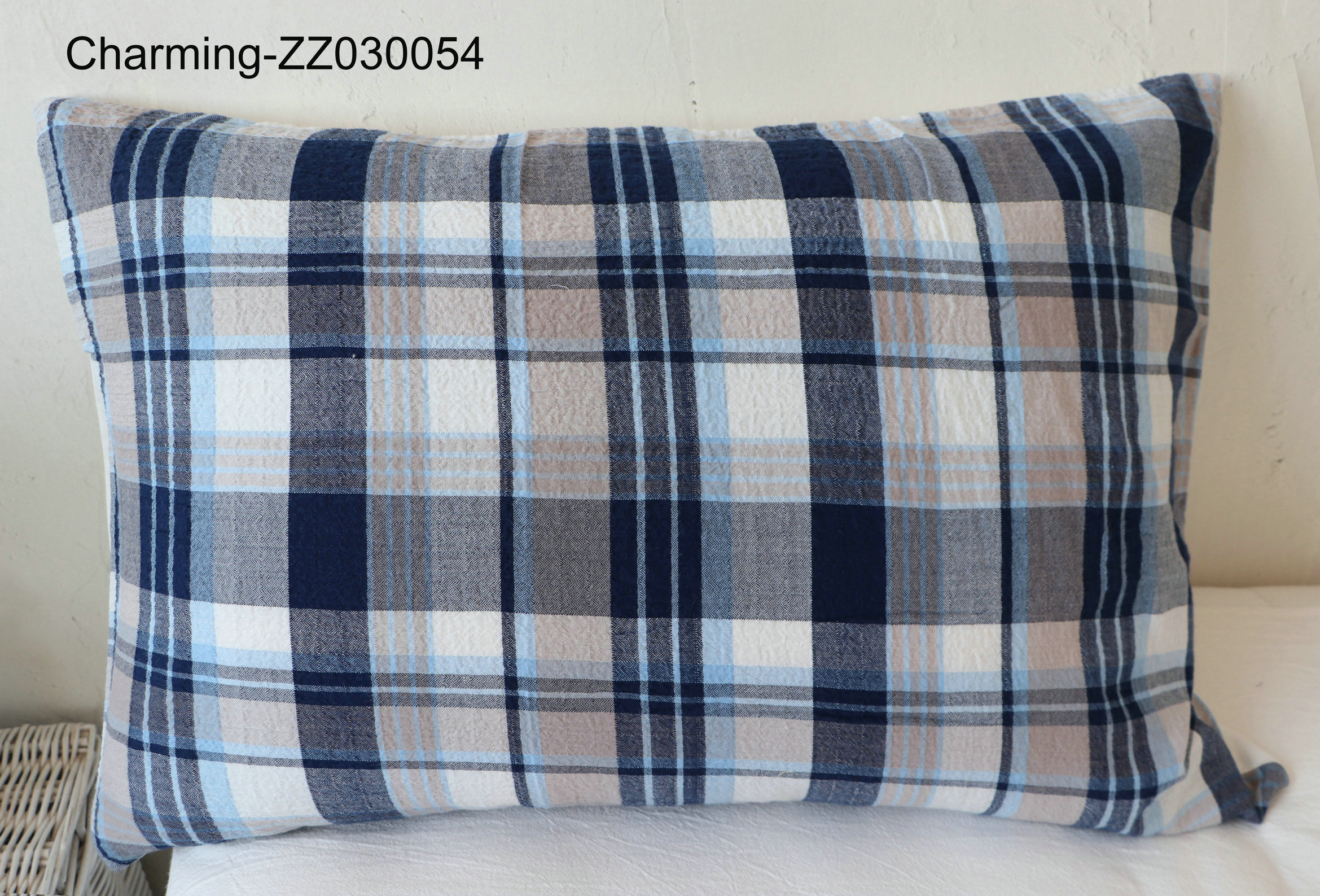 ZZ030054