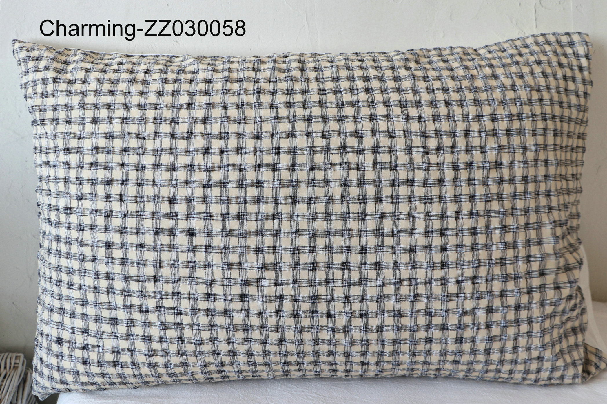ZZ030058