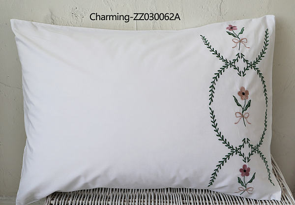 ZZ030062A