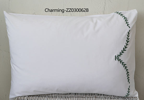 ZZ030062B