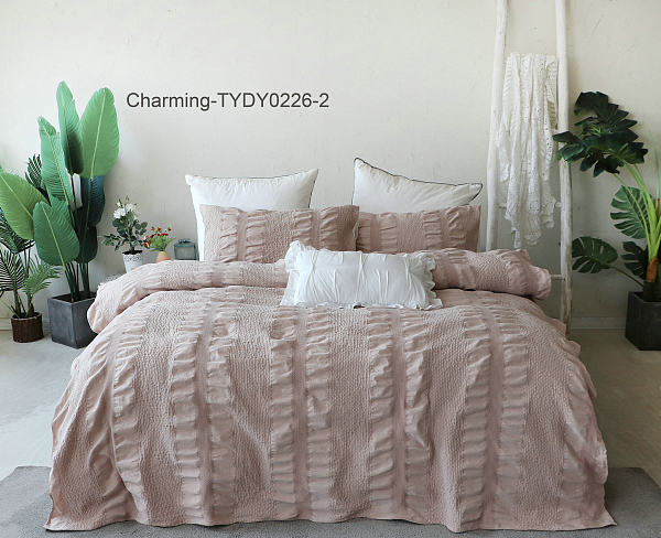 TYDY0226-2