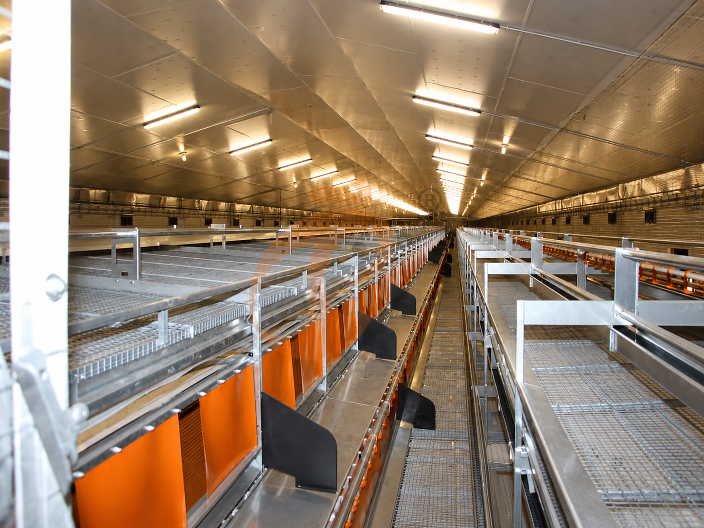 Broiler Equipment2 (5)