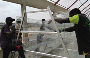 BEST Workers After-Service-In-African-Fa