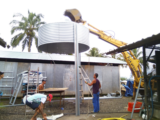 BEST pullet cage in Nigerian poultry farm