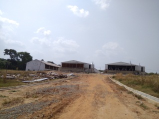 BEST breeder cage in Uganda poultry farm