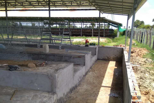 BEST layer cage in Cambodia poultry farm