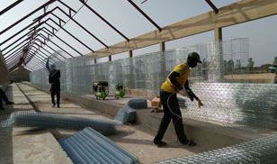 BEST layer cage in Senegal poultry farm