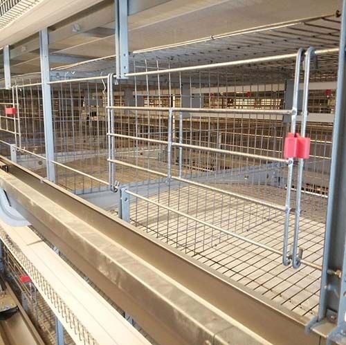 Chicken cage and equipment test before delivery