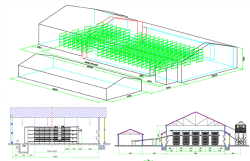 Drawing of cage and equipment in 12m long poultry house