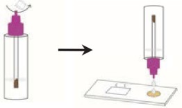 粪便潜血2.png 粪便潜血2.png