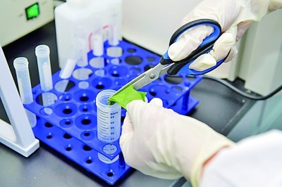 Détection rapide de l'ochratoxine A dans les aliments et les aliments pour animaux avec le kit de test BABIO