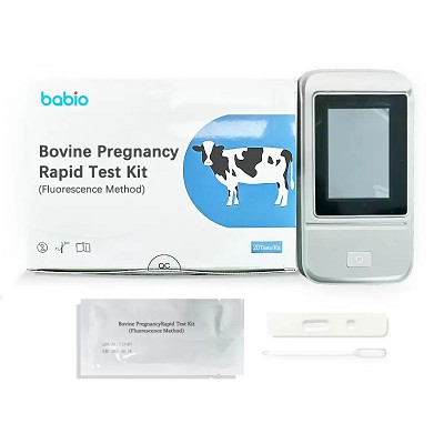 Révolutionner la reproduction bovine : BABIO lance un kit de test de grossesse basé sur la fluorescence